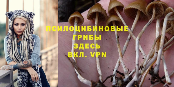 дурь Верхний Тагил