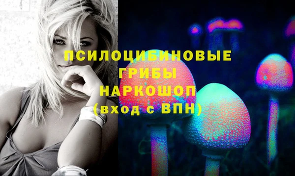 дурь Верхний Тагил