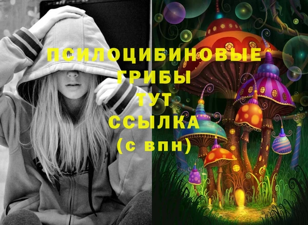 дурь Верхний Тагил
