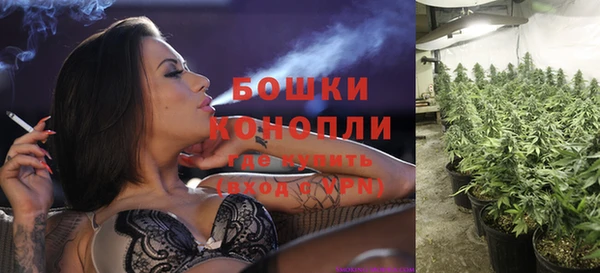 твердый Володарск
