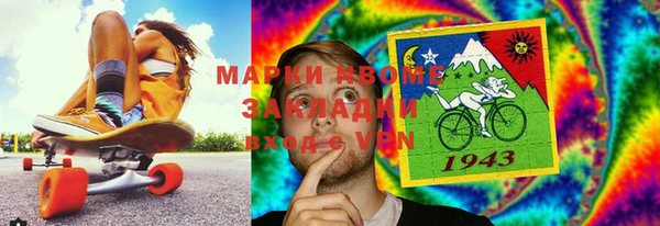 индика Снежногорск