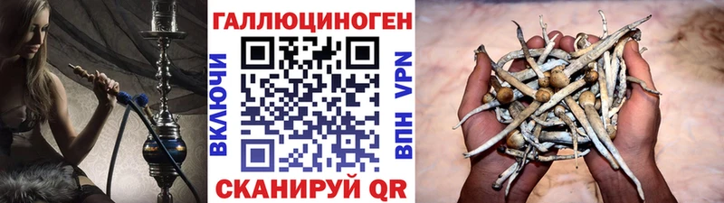 Галлюциногенные грибы прущие грибы  Купить  Калуга 